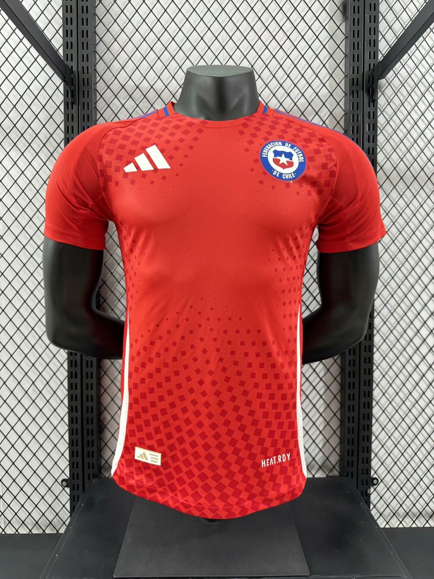 CHILE 2024 HOME PLAYER