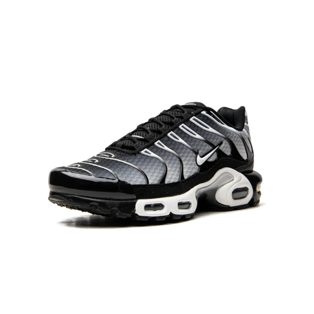 NIKE AIR MAX PLUS BLACK SILVER