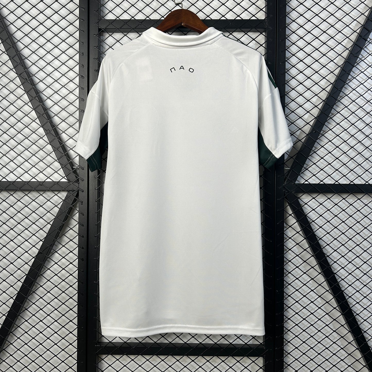 PANATHINAIKOS 25-26 AWAY